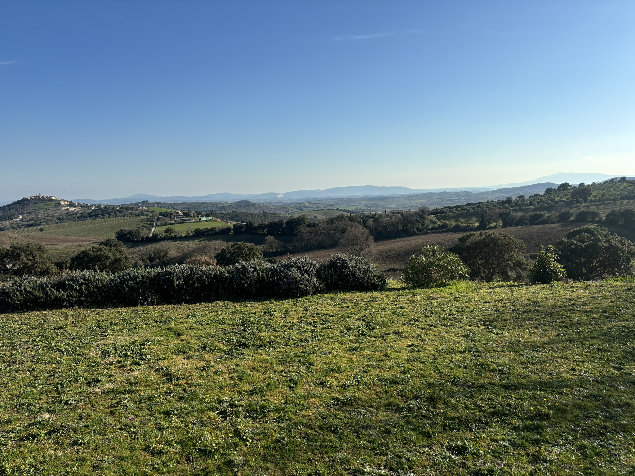 PANORAMA