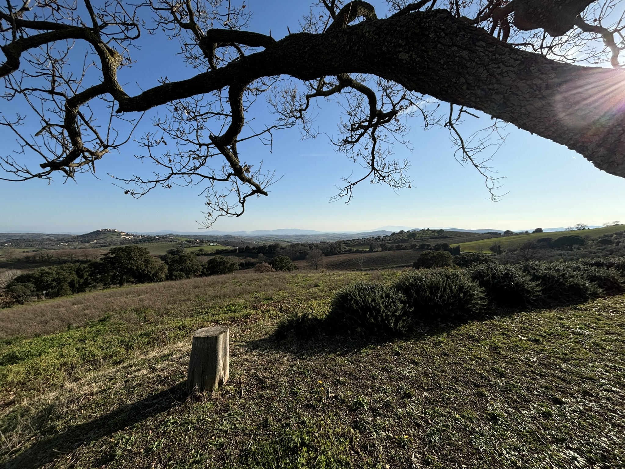 PANORAMA
