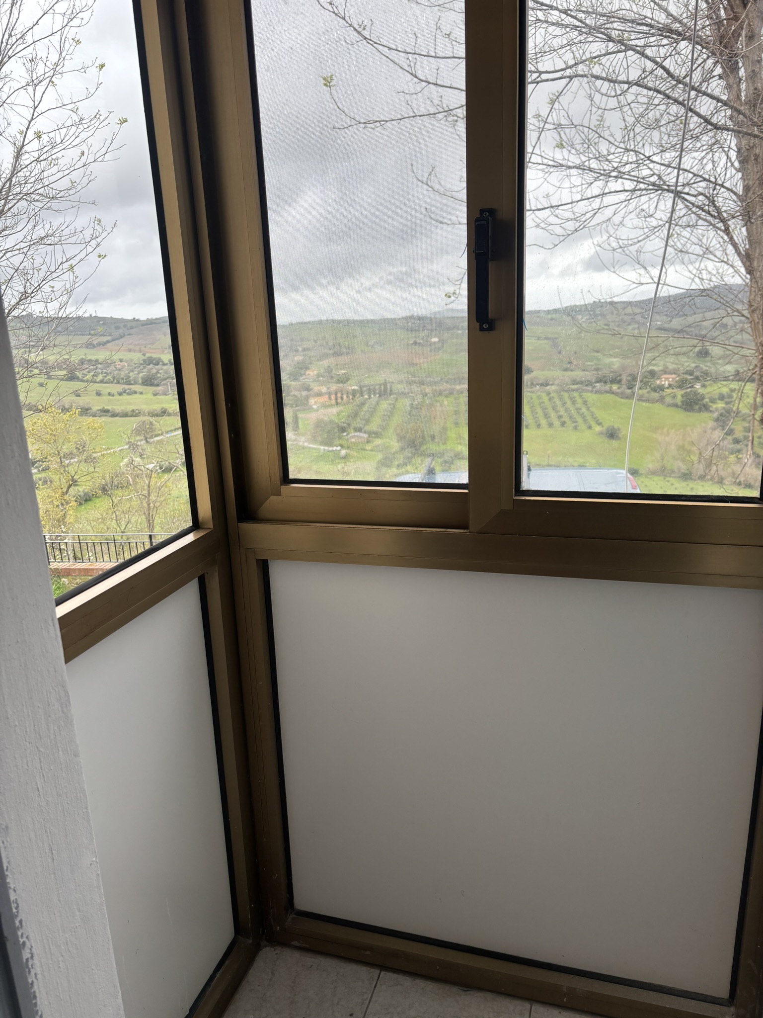 VISTA PANORAMICA