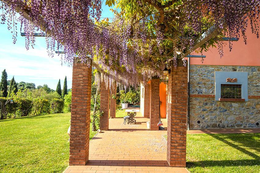 PERGOLA CON GLICINE