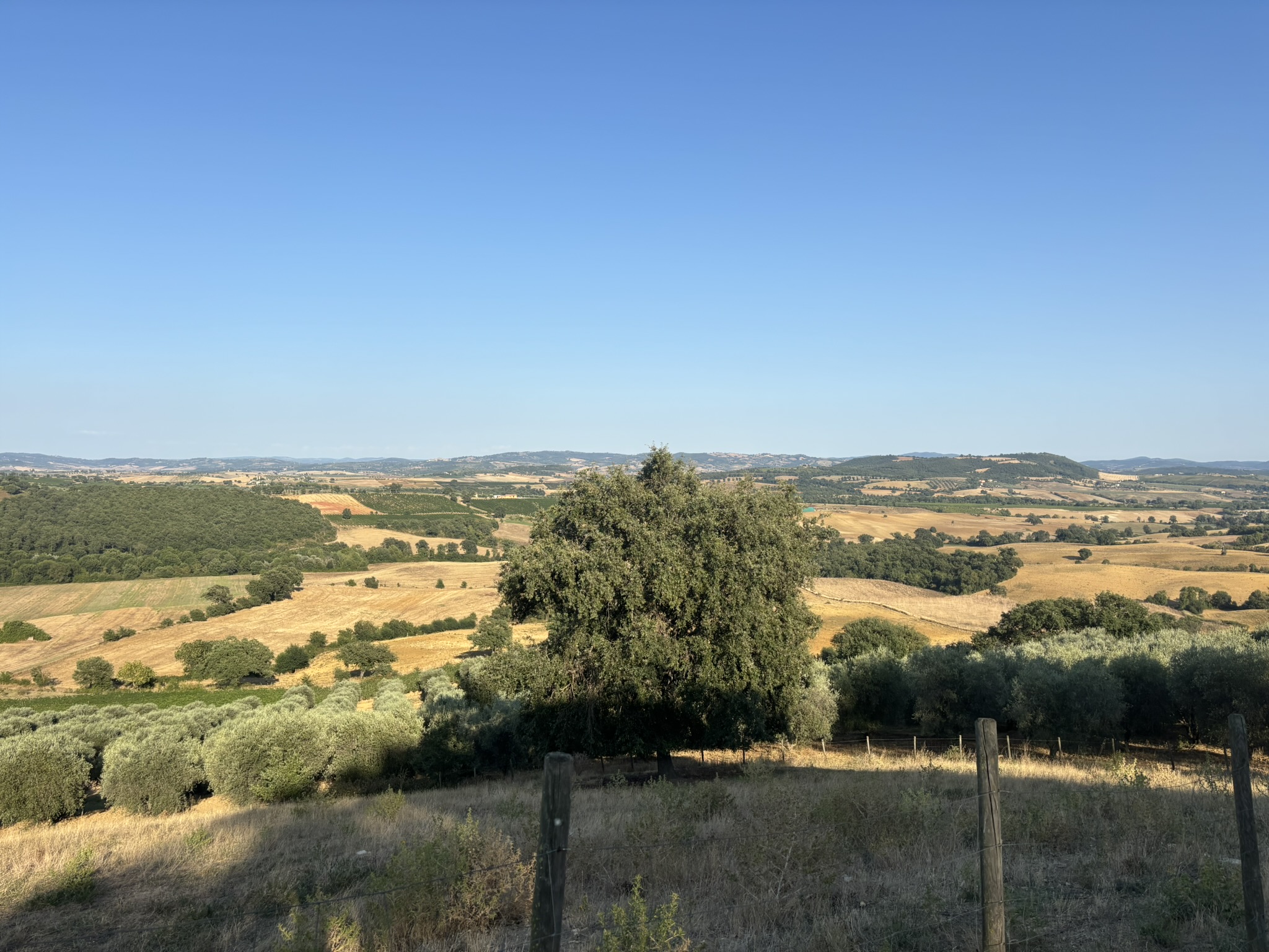 VISTA