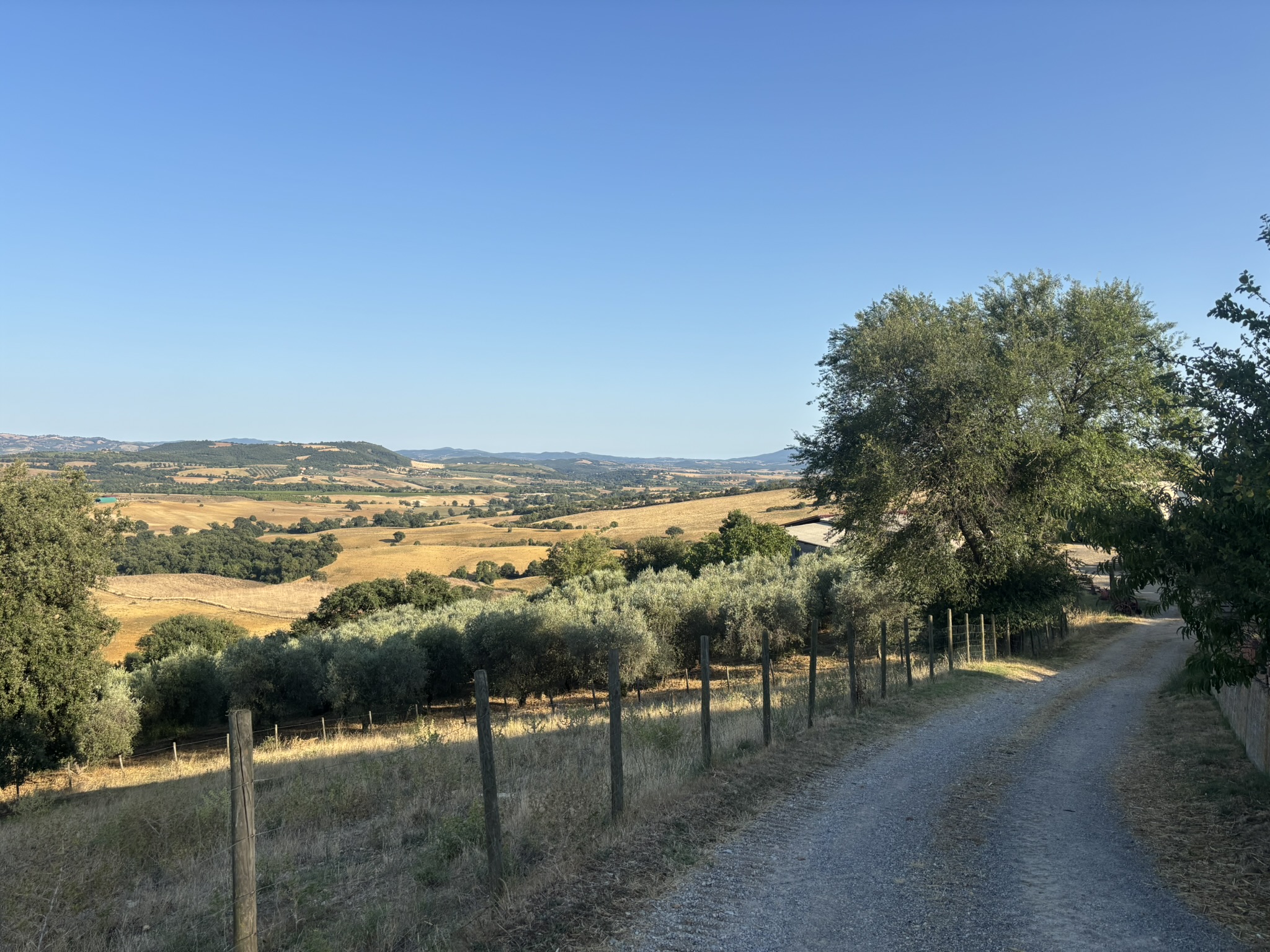 VISTA