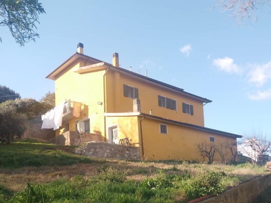 Azienda agricola,In Vendita,1120 Azienda agricola,In Vendita,1120
