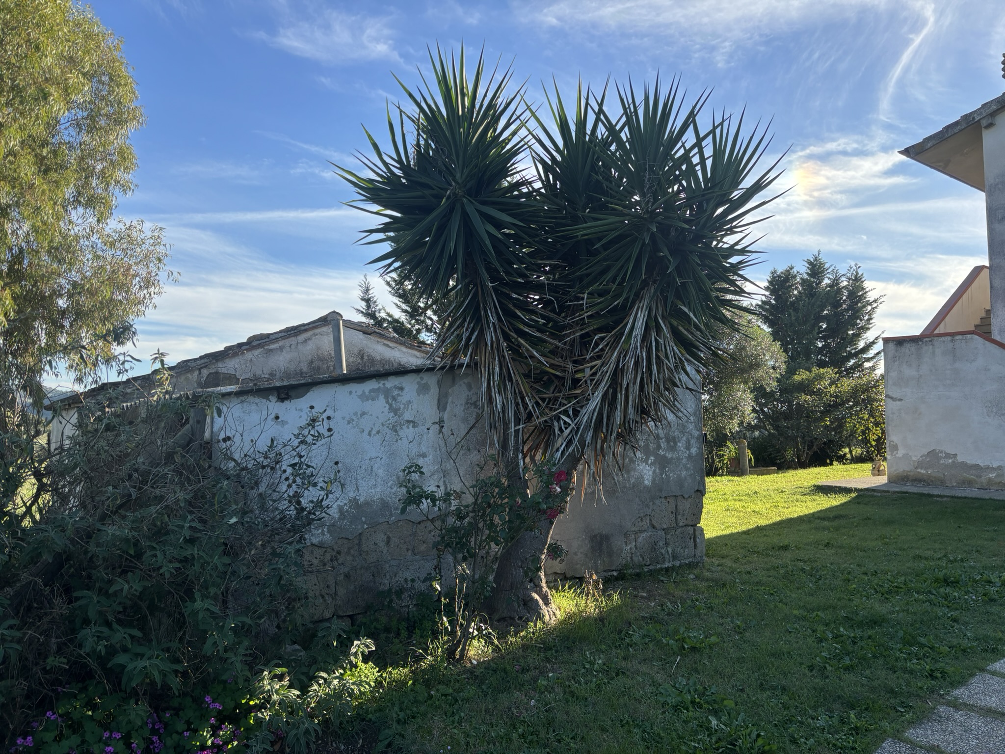 ANNESSO