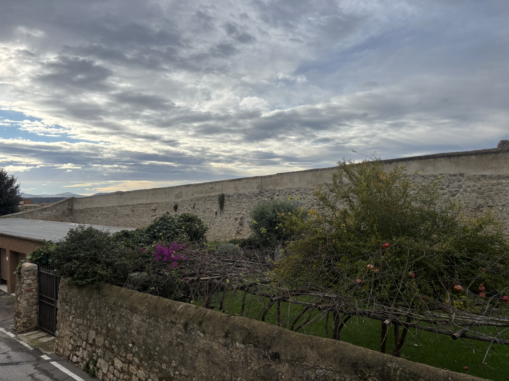 PANORAMA