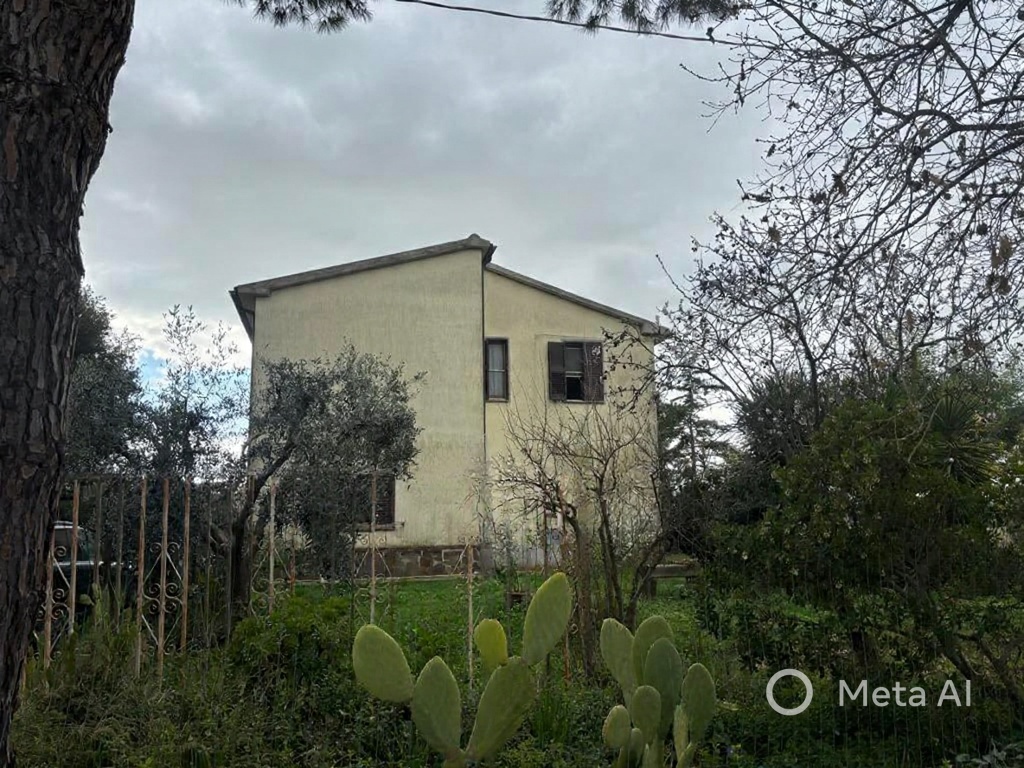 CASALE