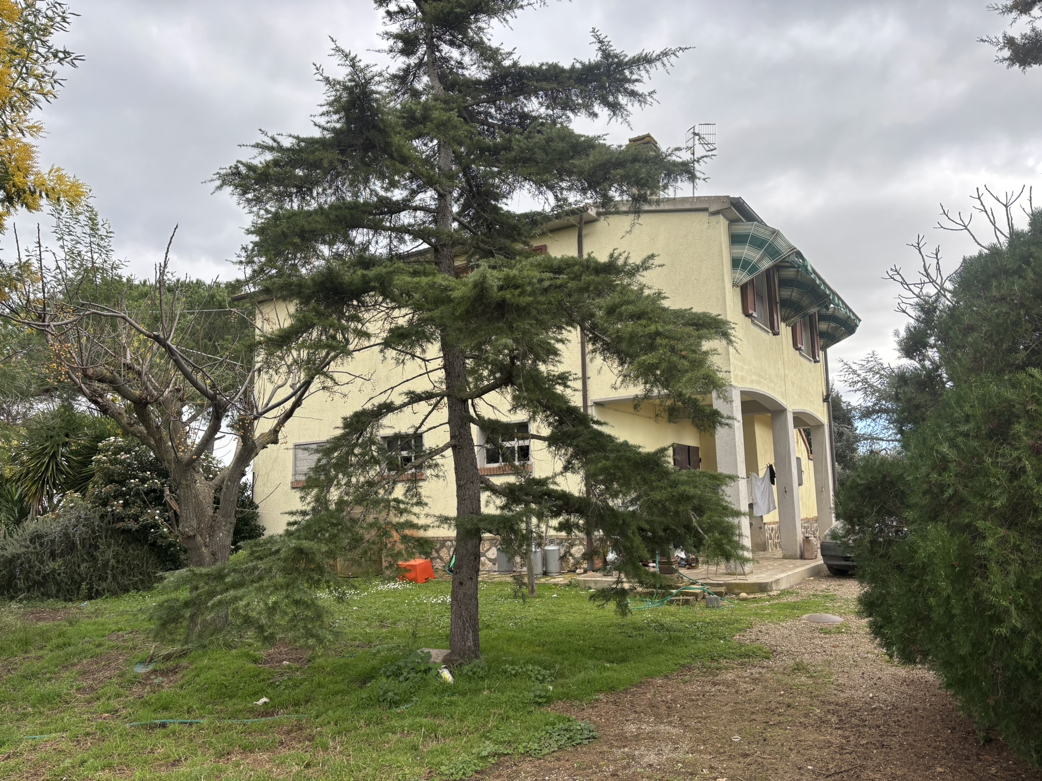 CASALE