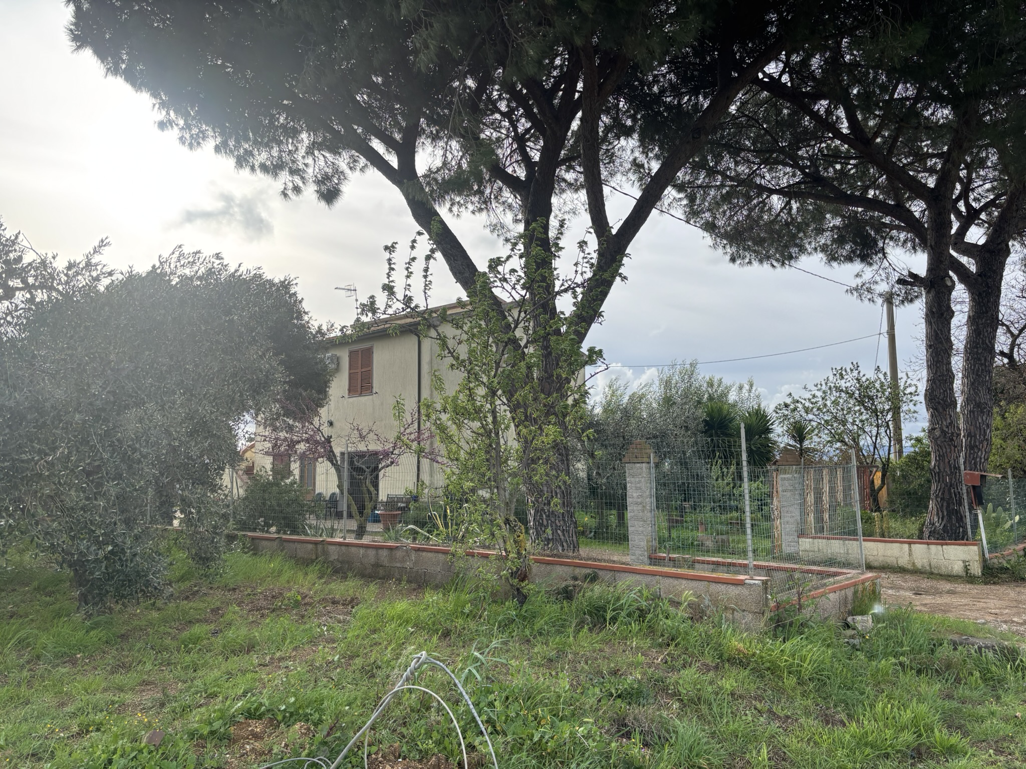 CASALE