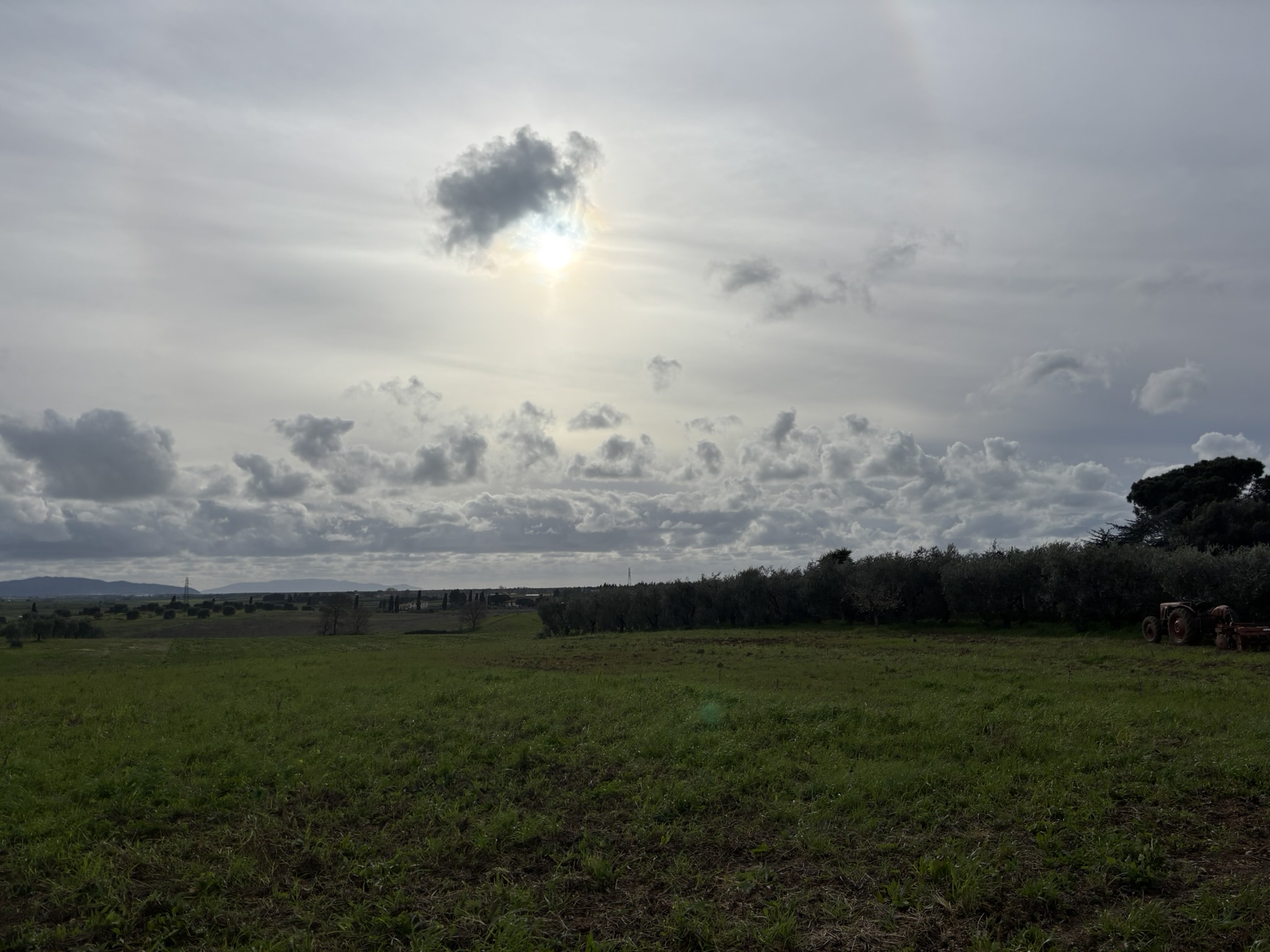 VISTA PANORAMICA