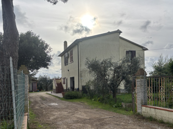 2 Stanze da Letto Stanze da Letto, ,1 BagnoBathrooms,Casale,In Vendita,1128 2 Stanze da Letto Stanze da Letto, ,1 BagnoBathrooms,Casale,In Vendita,1128