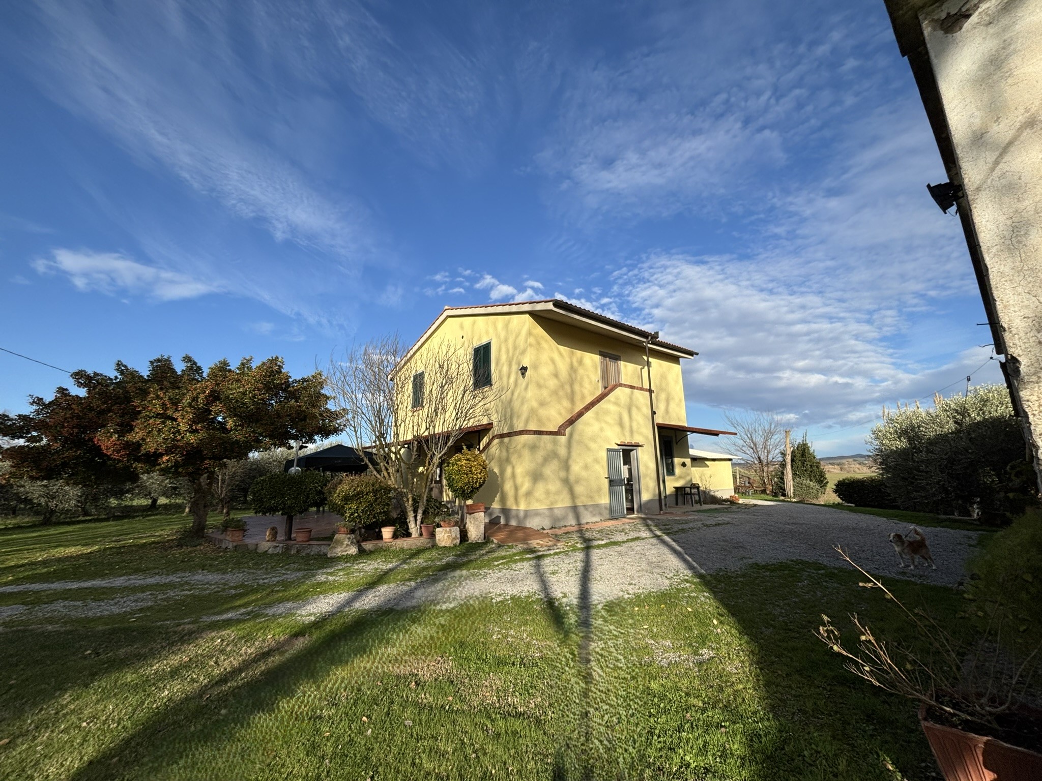 CASALE