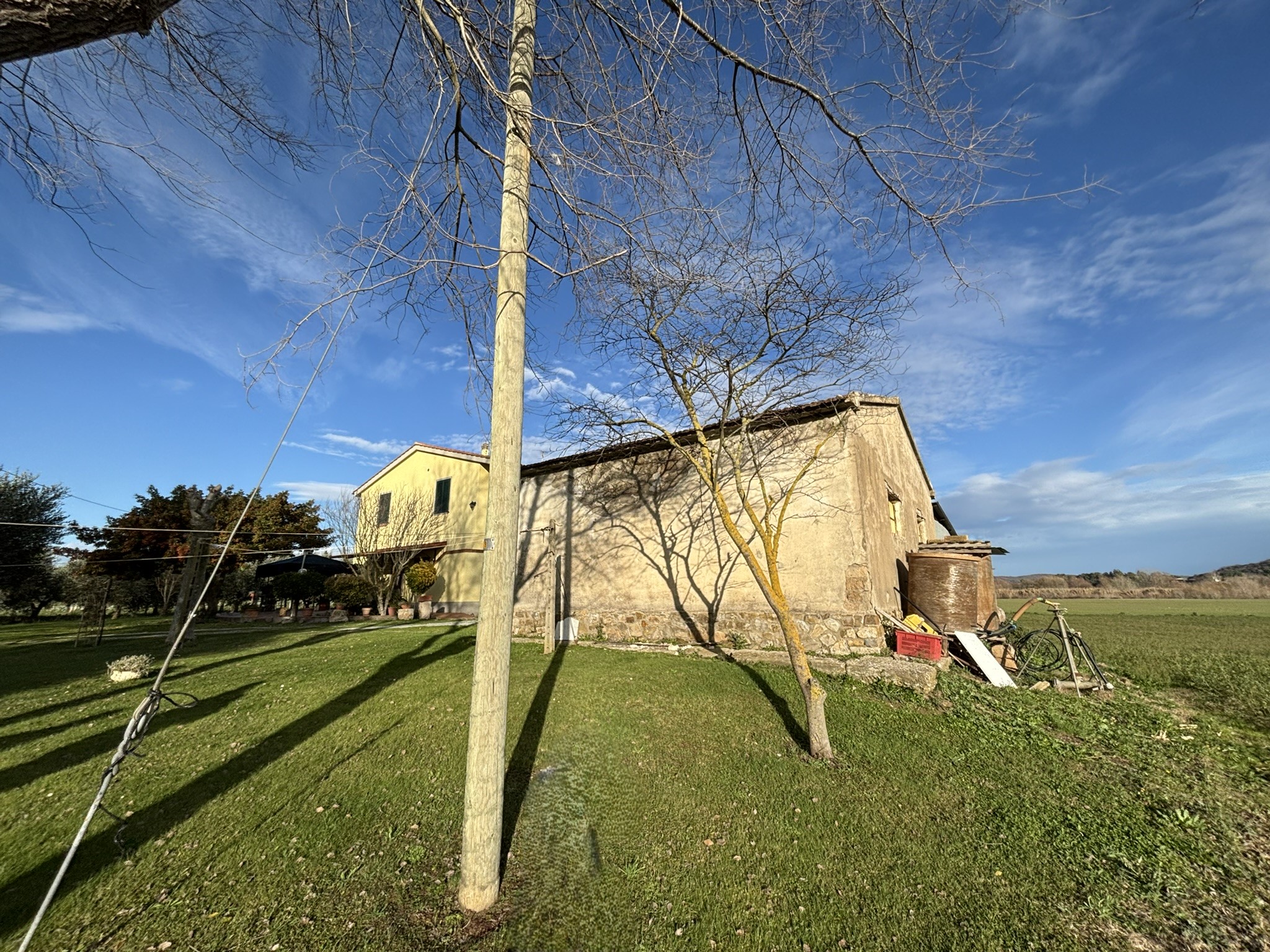 ANNESSO