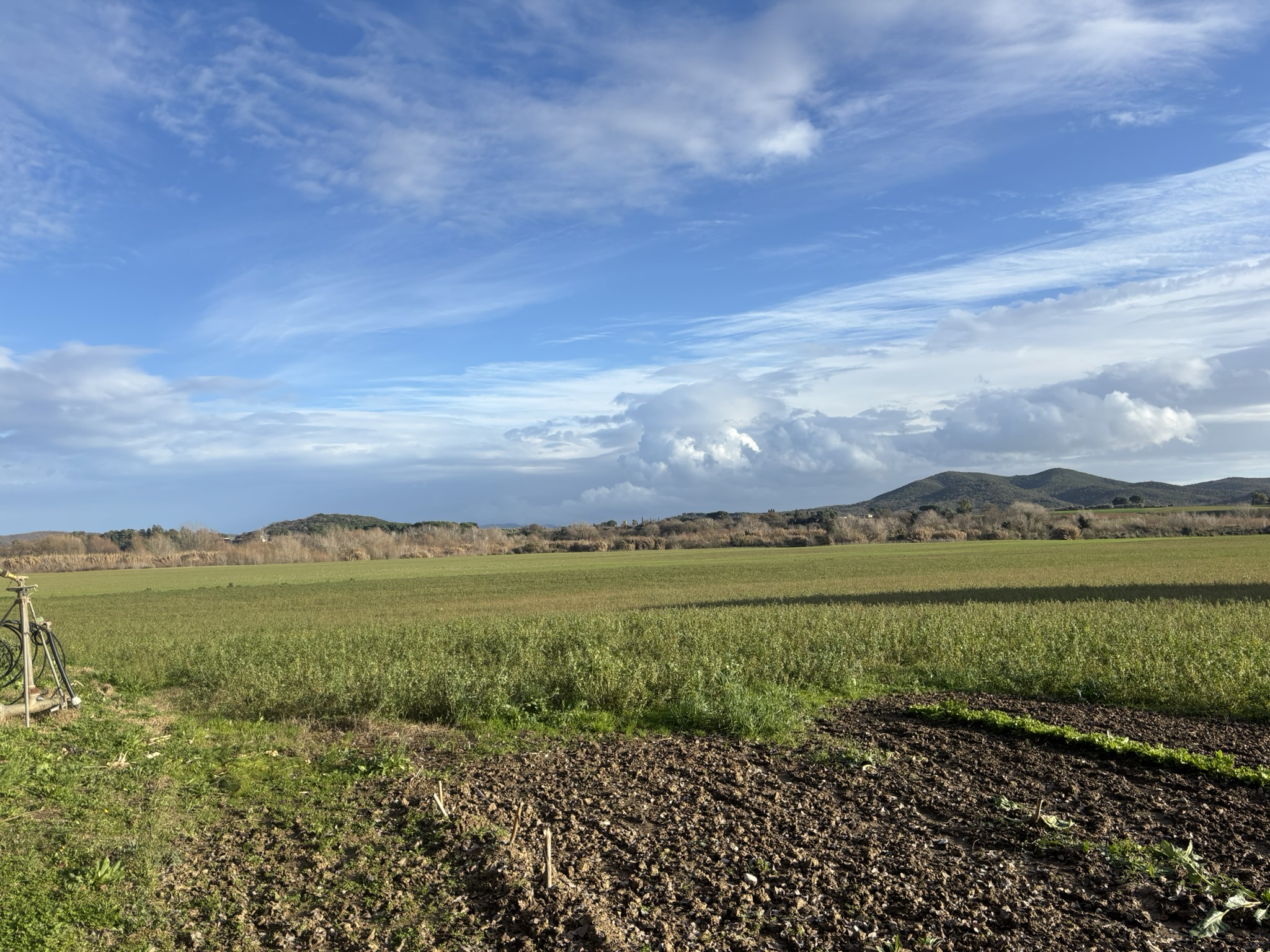 PANORAMA