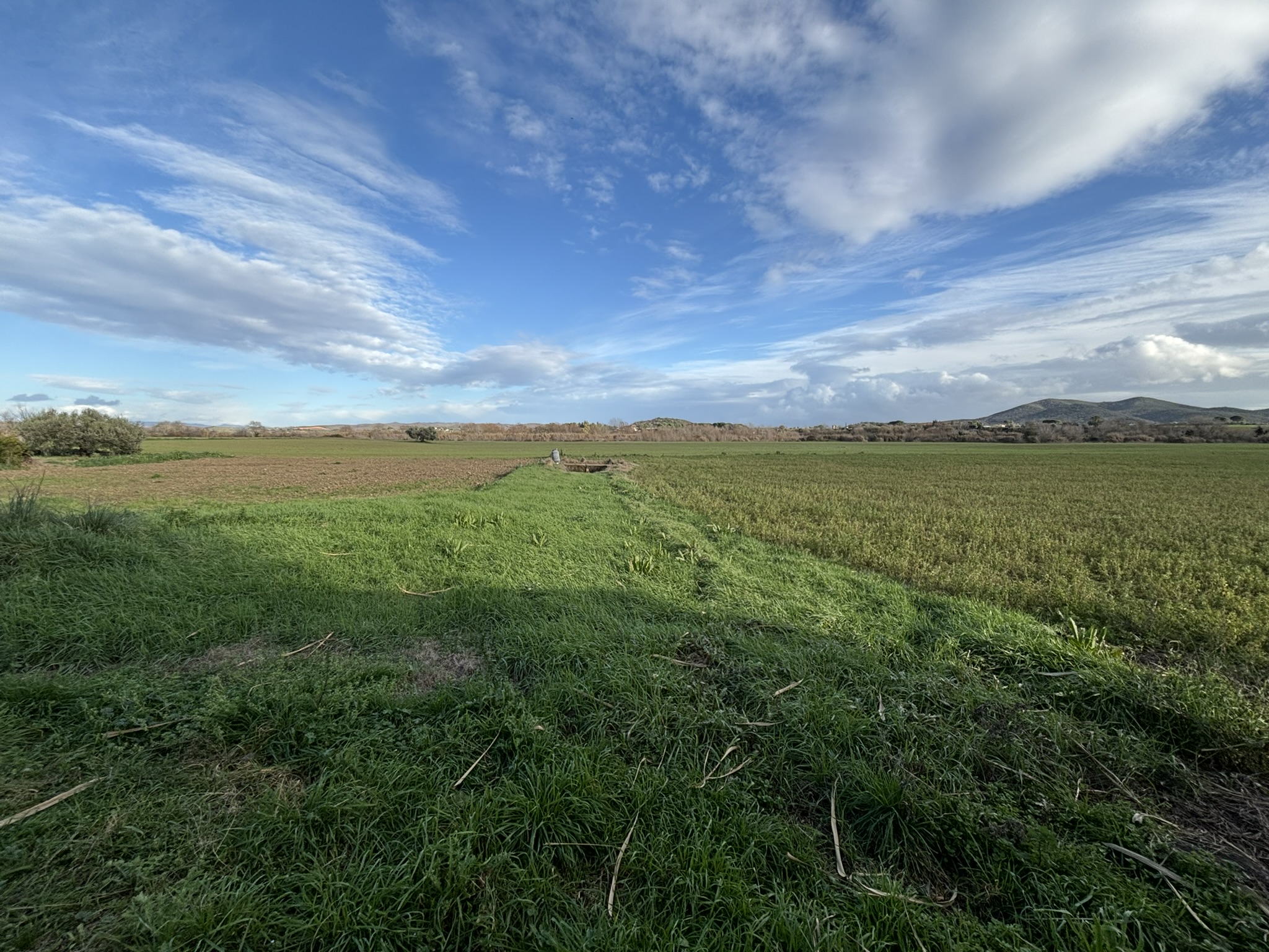 PANORAMA