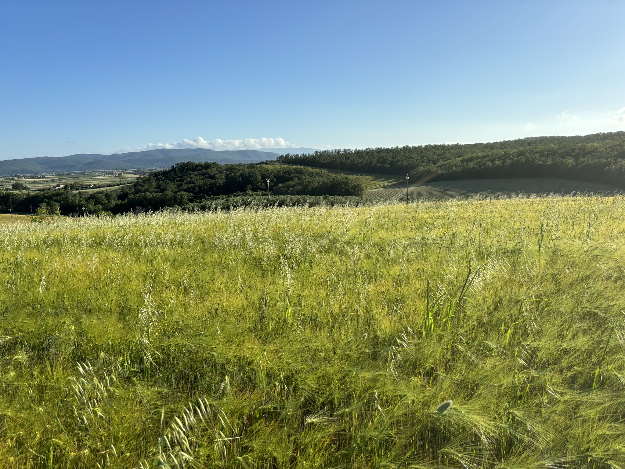 VISTA PANORAMICA