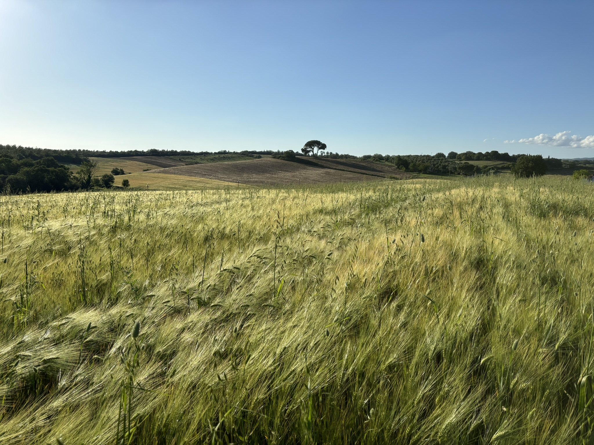 VISTA PANORAMICA