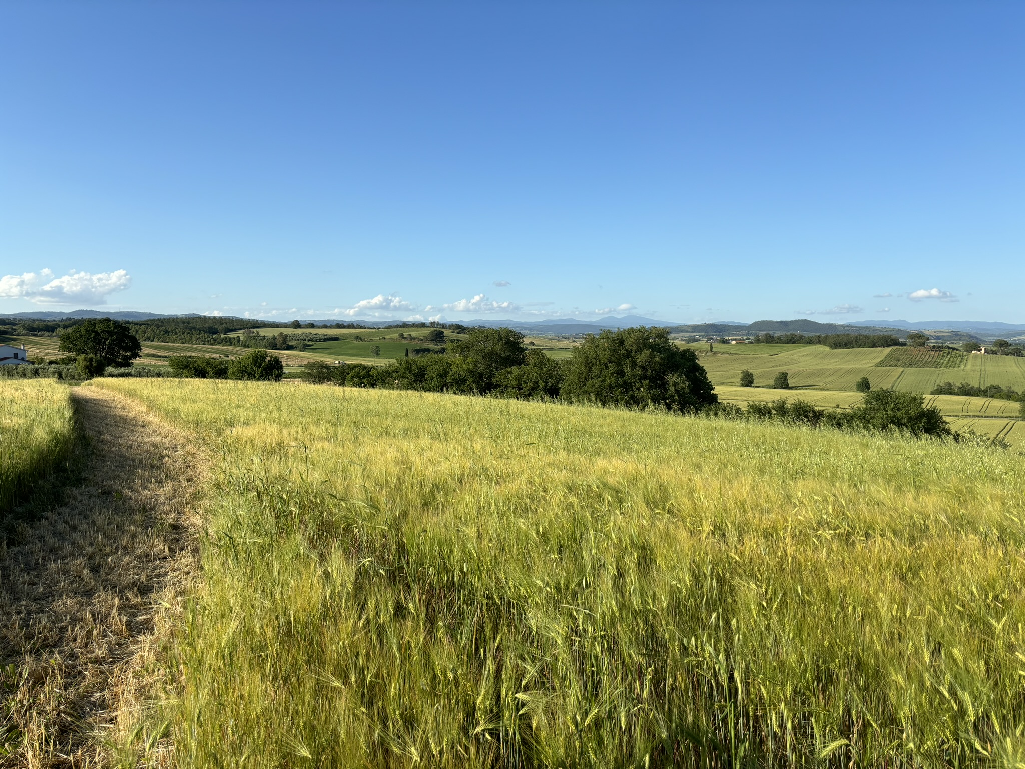 VISTA PANORAMICA