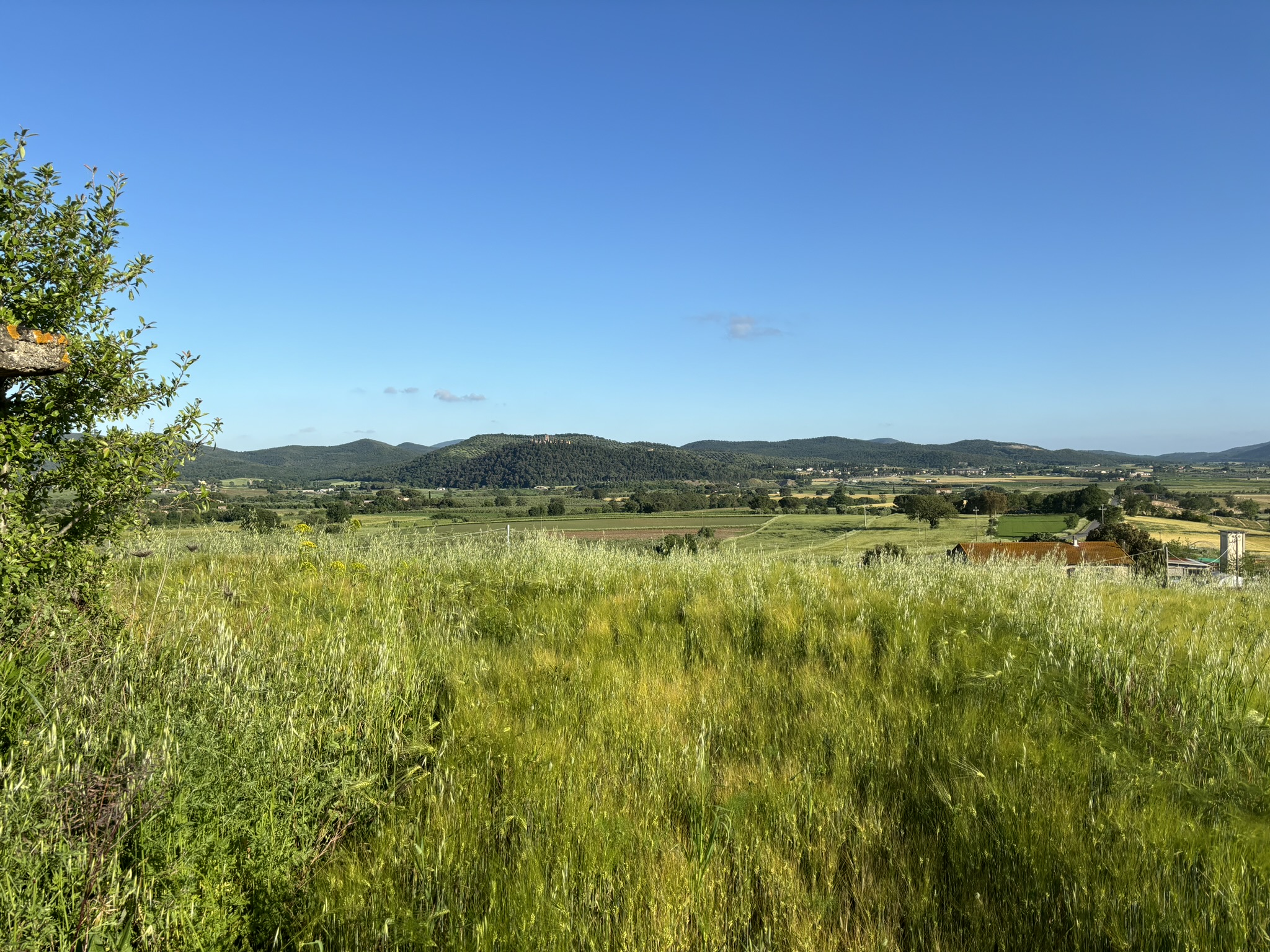 VISTA PANORAMICA