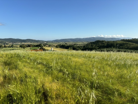 Terreno,In Vendita,1130 Terreno,In Vendita,1130