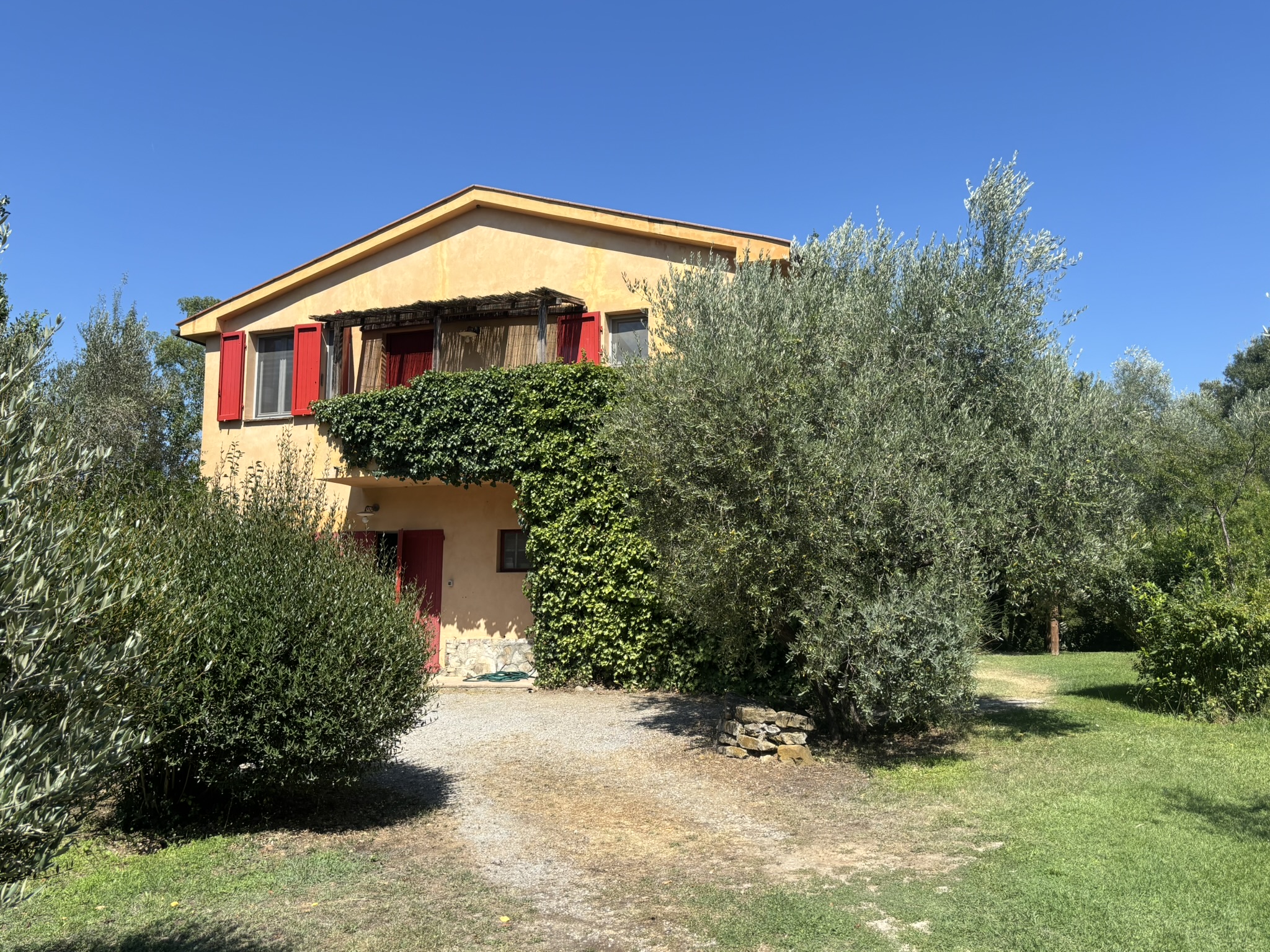 CASALE