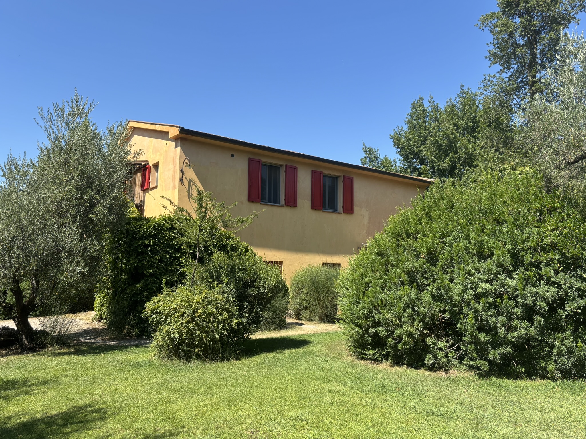 CASALE