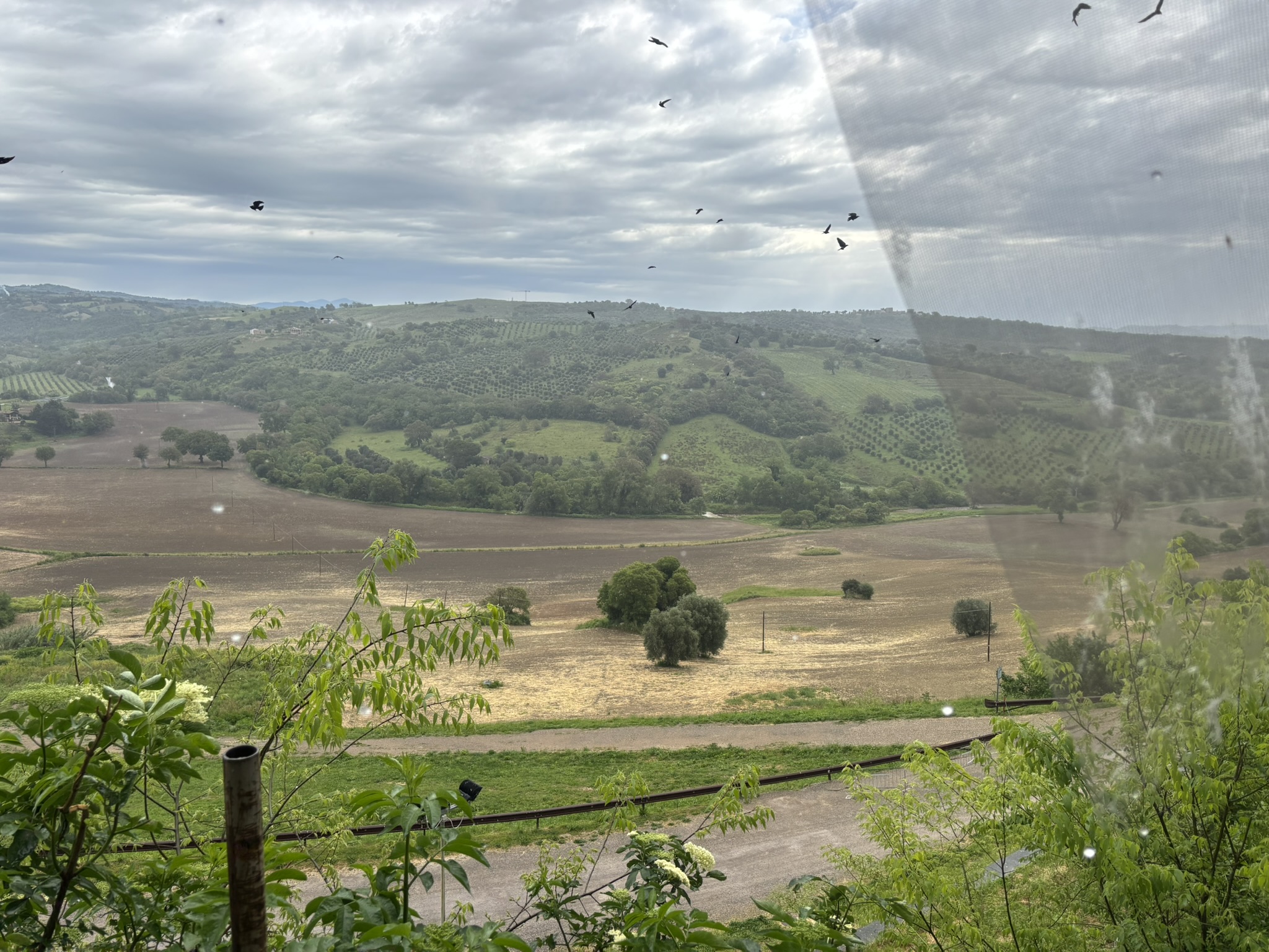 VISTA PANORAMICA