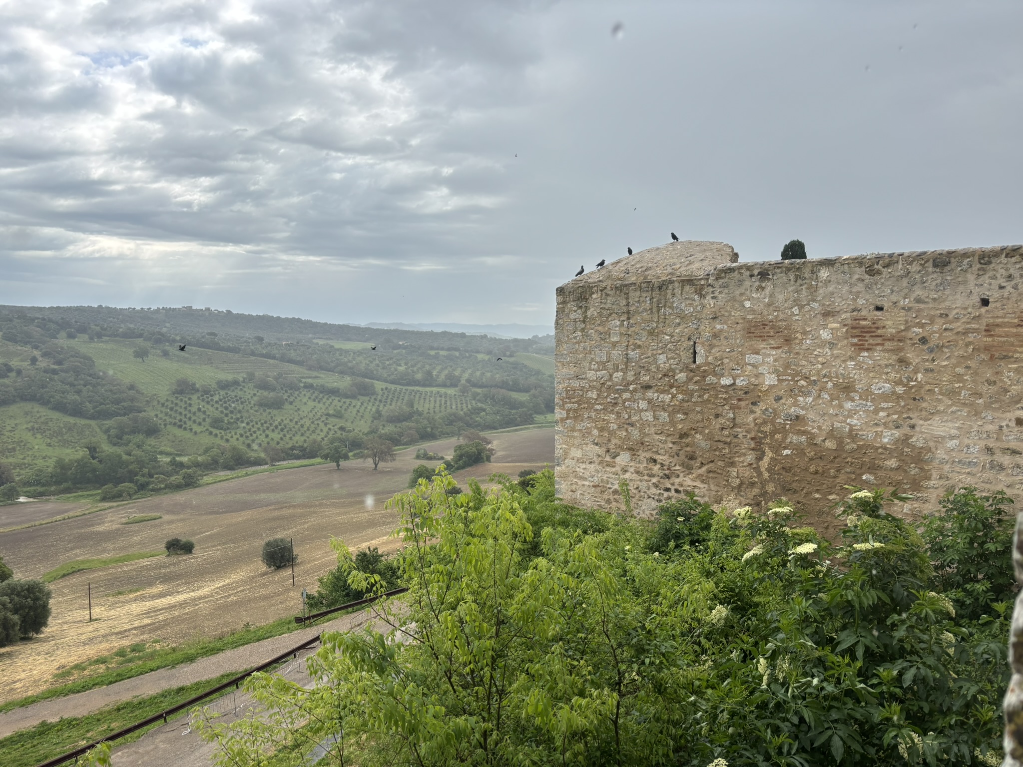 VISTA PANORAMICA
