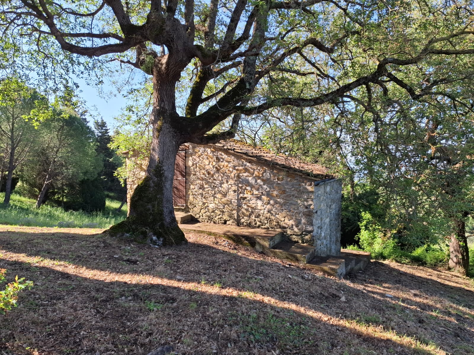 ANNESSO